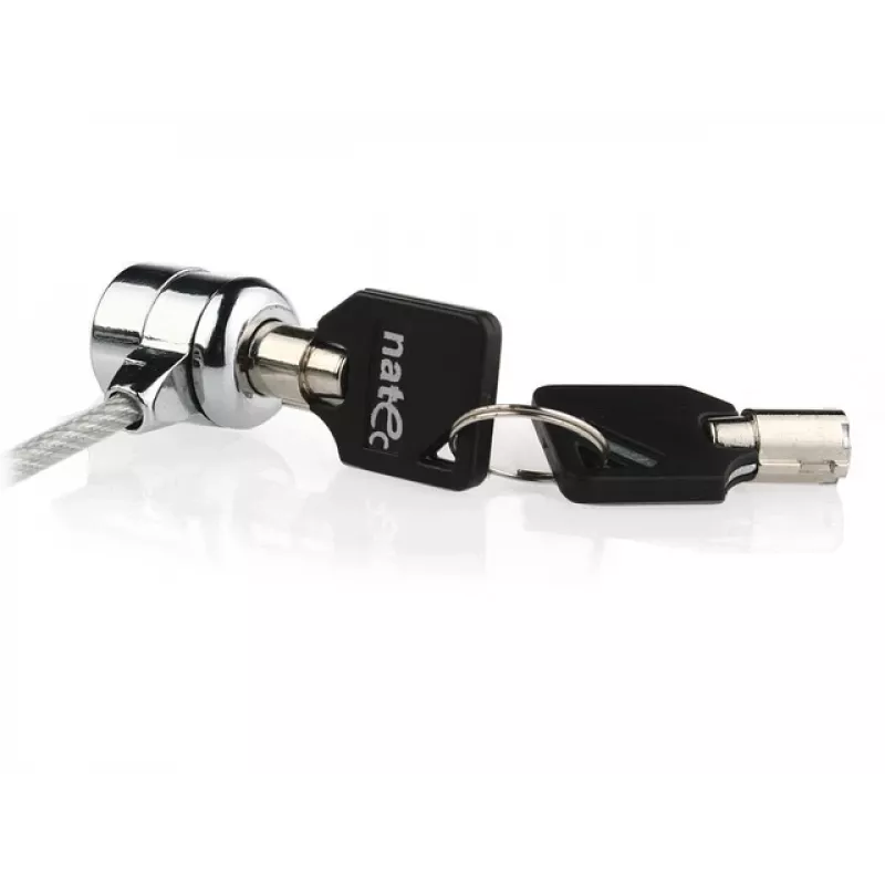 Laptop Lock Lobster Key