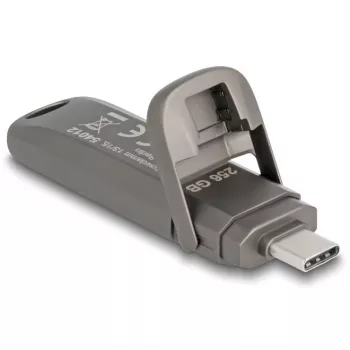 USB flash drive DeLOCK 54012 256 GB USB Type-C Grey