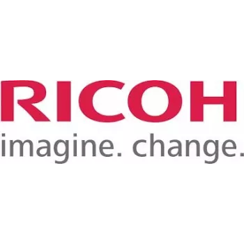 Ricoh PB 1150 - Printer Paper Feed Unit - 500 Sheets in 1 Drawers (Trays) (408300)