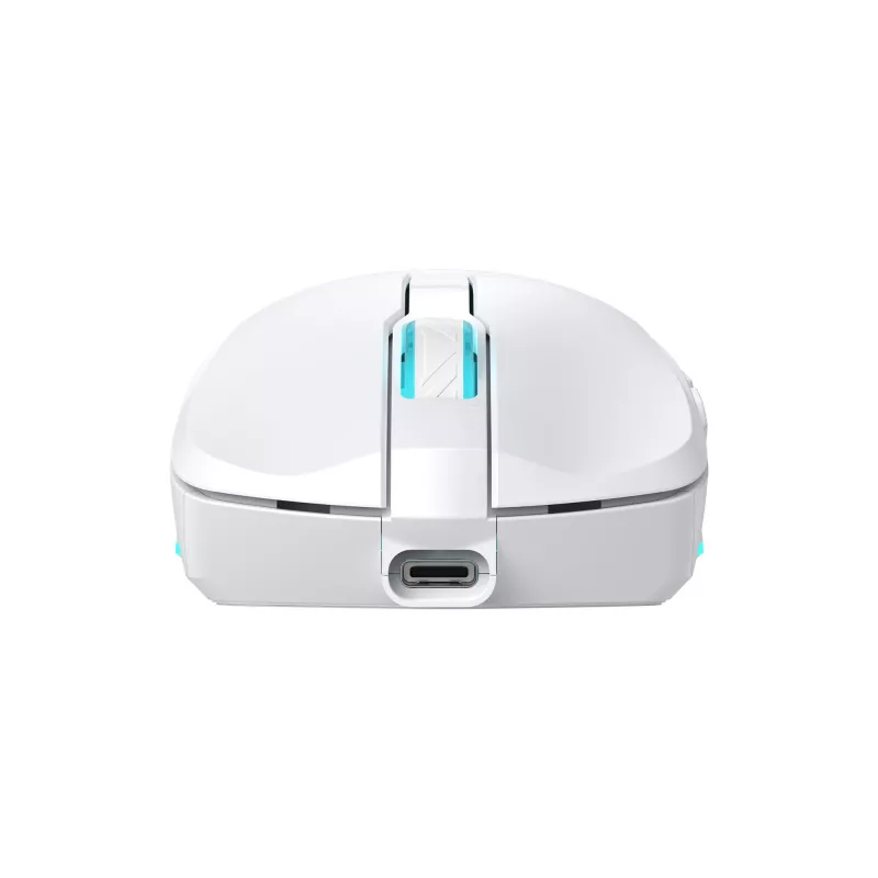 Mouse Baracuda BGM-122 Turtle White TURTLE-W