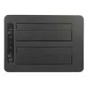 DeLOCK - HDD-Dockingstation Schächte: 2 - SATA 6Gb/s - 6 Gbit/s - USB 3,1 (Gen 2) - Schwarz (63957)