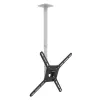 Barkan 3500 TV Ceiling Mount, full motion, 13-65", 40 kg, White