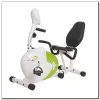 Horizontal magnetic bicycle white and green HMS R9259