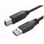 USB cable Bachmann 917.1205 USB 3.2 Gen 1 1 m USB A USB B Black