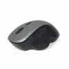 Optical mouse Gembird MUSW-6B-02-BG USB