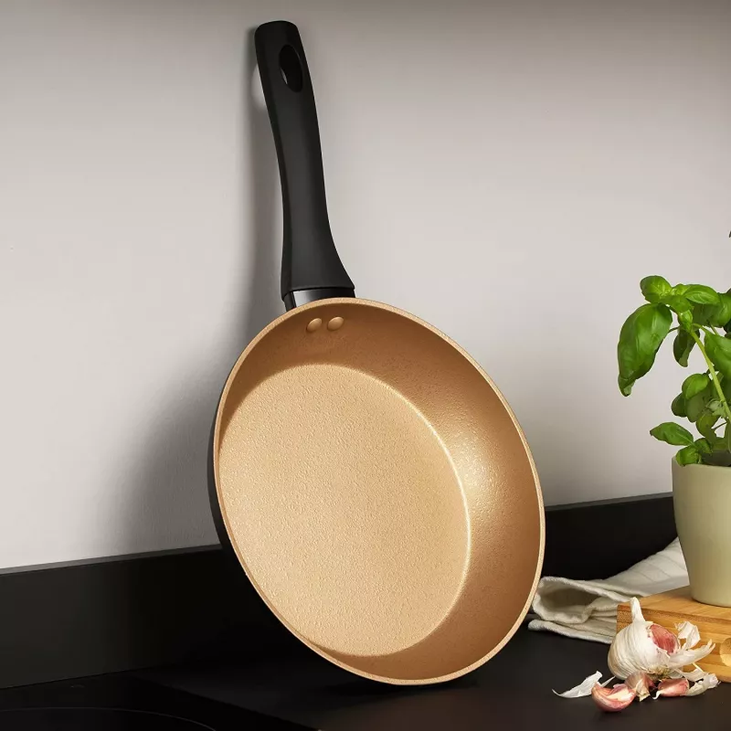 Frypan Russell Hobbs RH01666BEU7 24 cm, non-stick, black