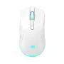 Mouse Baracuda BGM-122 Turtle White TURTLE-W