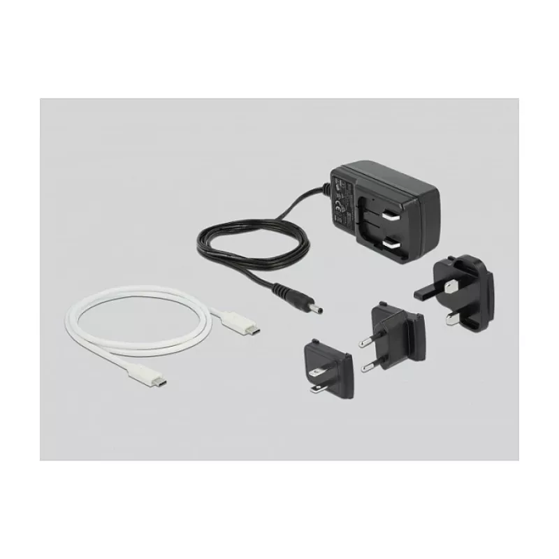 Docking Station DeLOCK USB Type-C™ 3.2 for 2 x 2.5 inch SATA HDD/SSD