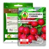 Seeds Apte Rzodkiewka CARMEN — Polish radish variety for year‑round cultivation