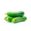 Polan F1 Cucumber PNOS Seeds on Tape, 6m Tape