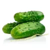 Cucumber seeds Apte Cucumber Portal F1 — tape 6 m, mid-early variety for pickling