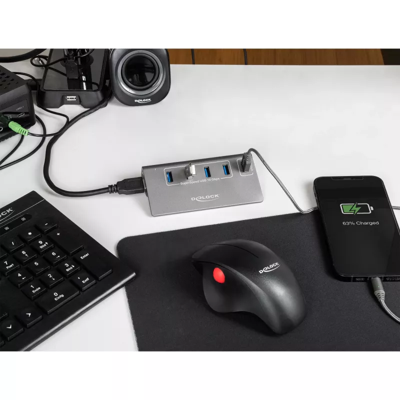 DeLOCK USB Hub 10 Gbps 4 Type-A Ports 1 Fast Charging Port