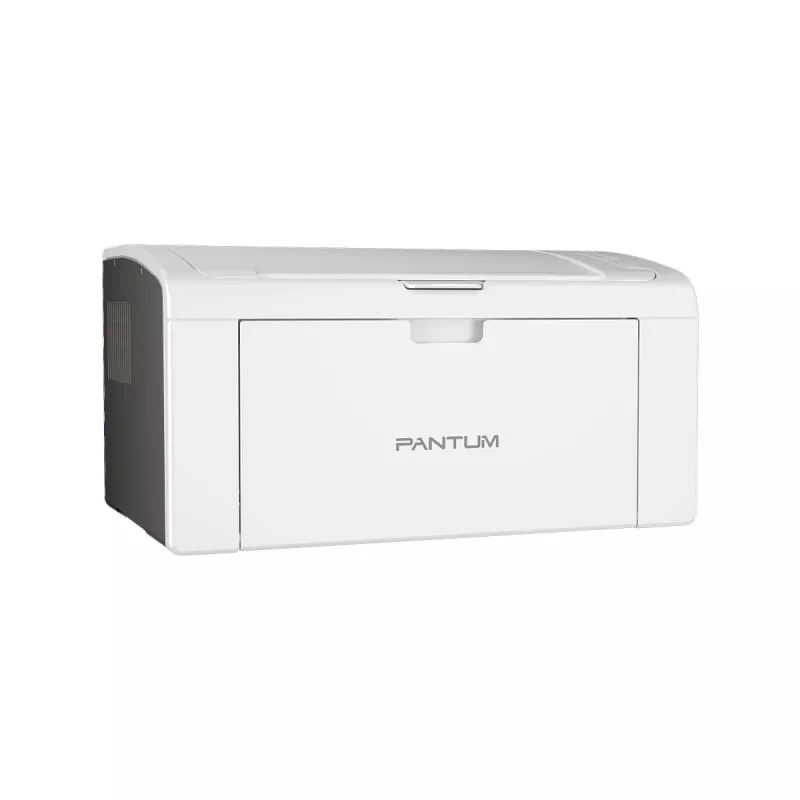 Printer Pantum P2509W Laser White