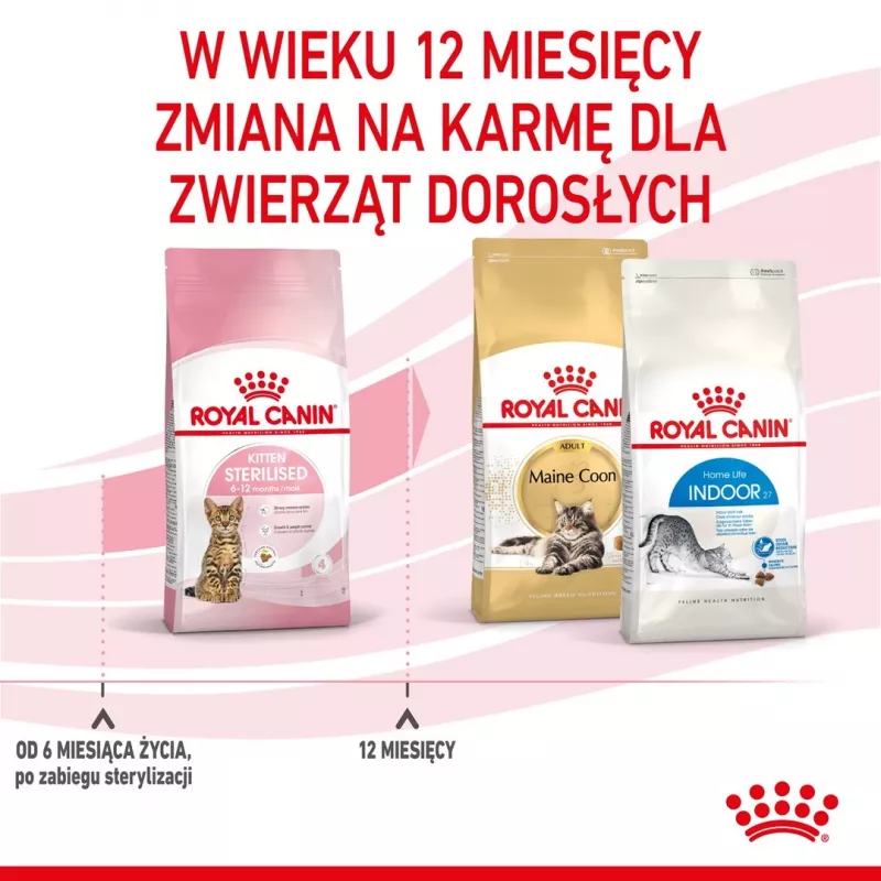 Royal Canin Kitten Sterilised dry cat food 3.5 kg Poultry