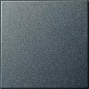 Gira 029628 Networking Device