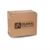 Zebra - Printhead conversion kit (300 dpi) - for ZT400 Series ZT420 (P1058930-025)