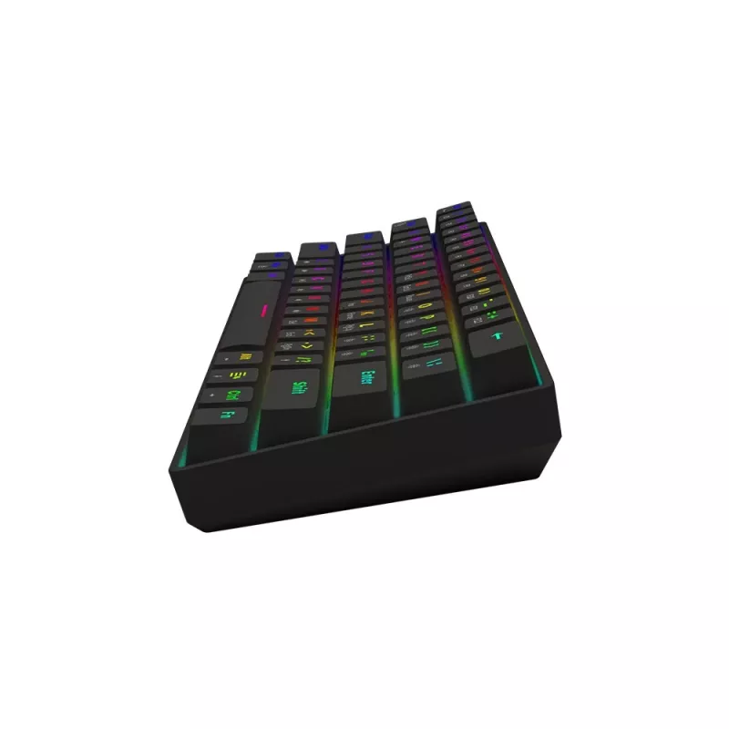 Mechanical Gaming Keyboard SAVIO BLACKOUT X2 BROWN 61-key 60% USB QWERTY RGB Outemu Brown