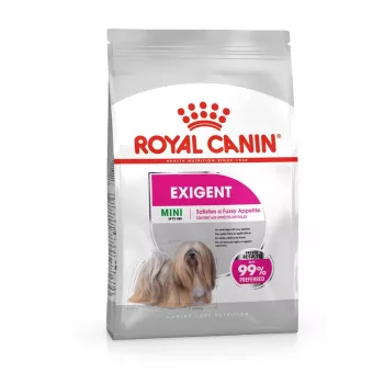 Dry dog food Royal Canin Mini Exigent 1 kg — small breed senior, 30% protein, 22% fat