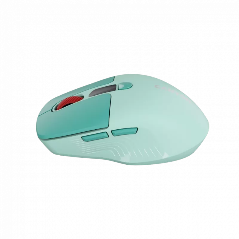 Canyon MW-26 - 2in1 wireless optical mouse Bluetooth / 2.4 GHz - silent - green