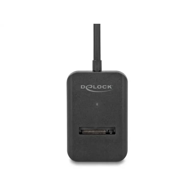 DeLOCK Combo Converter for M.2 NVMe PCIe SATA SSD USB Type-C 10 Gbps