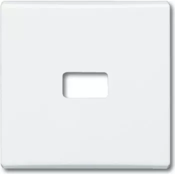 BUSCH-JAEGER rocker f. Symbol 2120-32 IP44 weatherproof White 2120-32 (1731-0-1817)