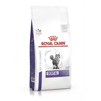 Dry cat food Royal Canin Dental 1.5 kg — adult poultry flavour, 29% protein, dental care