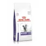 Dry cat food Royal Canin Dental 1.5 kg — adult poultry flavour, 29% protein, dental care