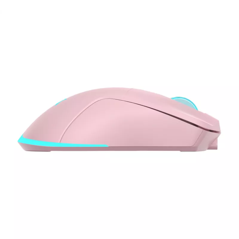 Mouse Baracuda BGM-124 Turtle Pink TURTLE-P