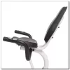 Horizontal magnetic bicycle white and green HMS R9259