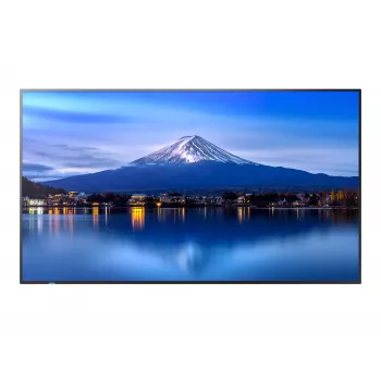 Large Format Display SHARP NEC P506 50-inch P-Series UHD