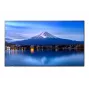 Large Format Display SHARP NEC P506 50-inch P-Series UHD