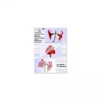 Laminator Pouch Olympia 1x100 DIN A6 80 micron