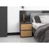 Topeshop W2 ANTRACYT/ARTISAN nightstand/bedside table 2 drawer(s) Anthracite, Oak