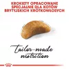 Dry Cat Food Royal Canin British Shorthair Kitten 2 kg – chicken, 38% protein, 20% fat, growth formula