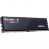 G.skill F5-6400J3239F24GX2-RS5K Memory Module
