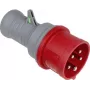 as - Schwabe 61477 Drehfeldtester (61477)