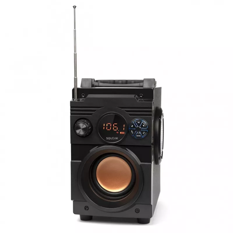Squeak Bassblaster Bluetooth 5.1 Speaker, Fm Radio, Mp3 Player Sq1001
