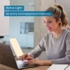 Daylight lamp TL35