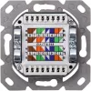 Digitus CAT 5e. Class D. Wall Outlet. Shielded. Surface Mount