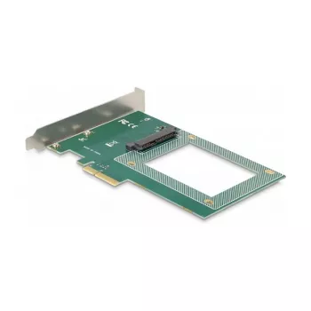 DeLOCK PCI Express x4 Card to 1 x internal U.2 NVMe SFF-8639
