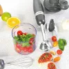 Hand Blender Salter EK2827COSVDEEU10