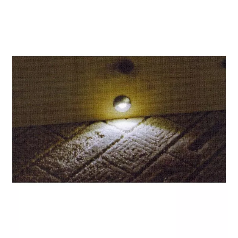 Synergy 21 S21-LED-L00024 Indoor/outdoor suitable for indoor use Recessed lighting spot 0.6W Black - Silver Light Spot