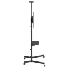Maclean TV stand / cart, camera shelf, on wheels, 37-70, max load 45kg/5kg shelf, max. VESA 600x400, MC-113 B