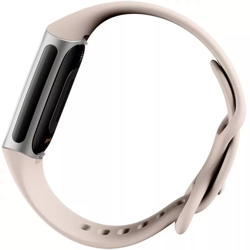 Fitbit GA05185-EU Product Silver
