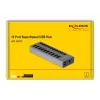 DeLOCK External 5 Gbps USB Hub with 10 Ports + Switch