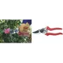 Bypass pruner c.k tools G5631 215 mm — 215 mm cutting length, bypass blades