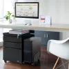 Office drawer unit Maclean MC-850 Black Metal 2 drawers