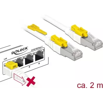 Networking cable DeLOCK 85332 RJ-45 Cat6a 2 m White