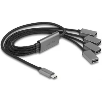 DeLOCK 64210 USB 2.0 Type-C Hub 480 Mbit/s Black Grey