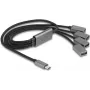 DeLOCK 64210 USB 2.0 Type-C Hub 480 Mbit/s Black Grey